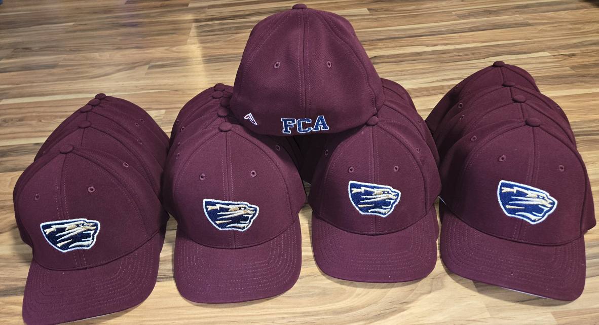 Fitted Panther Logo Hat