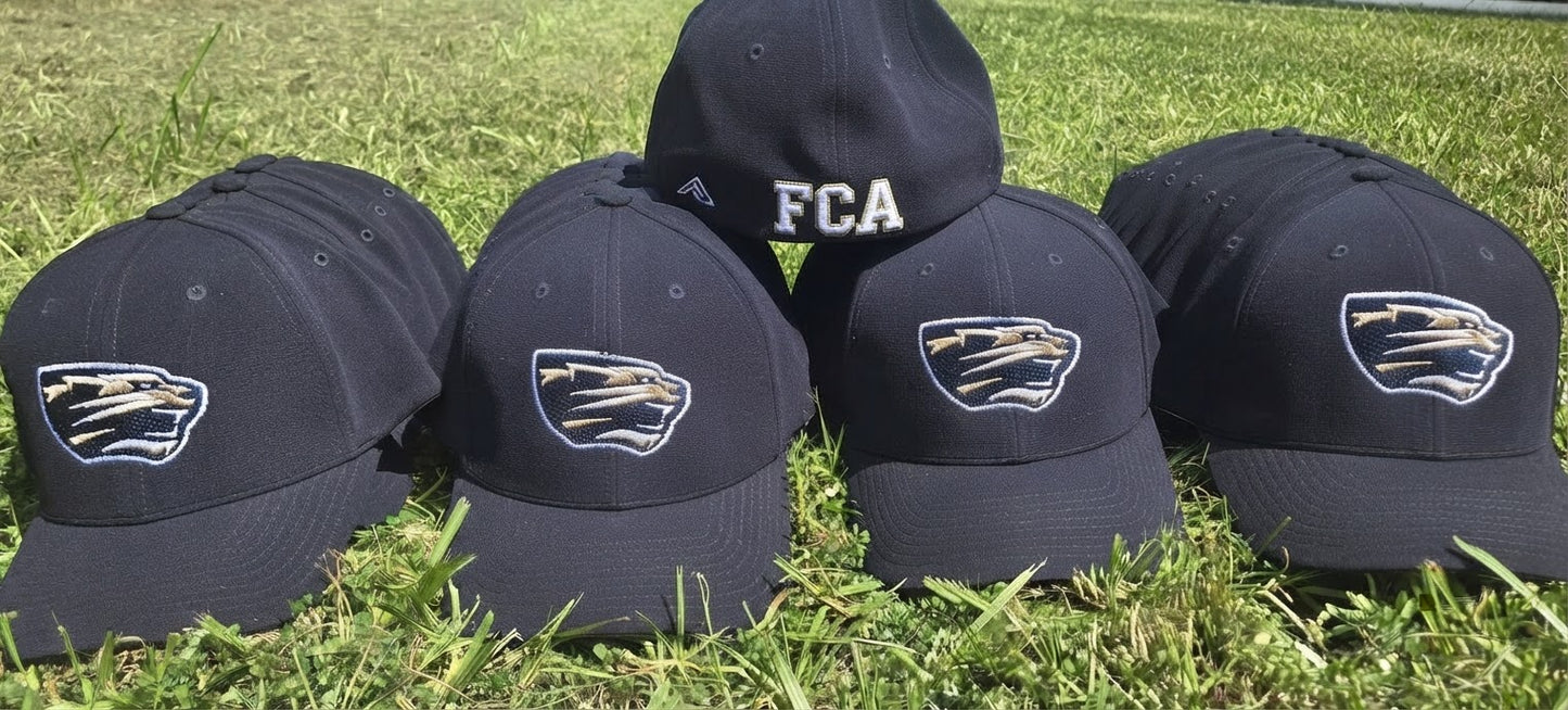 Fitted Panther baseball cap